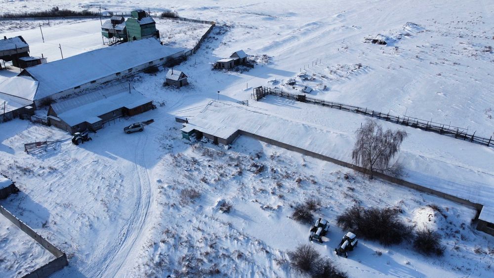 продам фермерское хозяйство