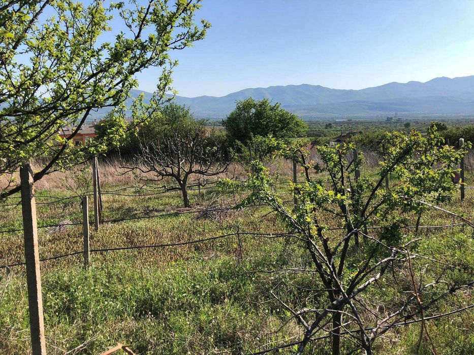 Продава се Парцел в с. Анево, Област Пловдив - 4000 кв.м за 4 €/кв.м - Снимка #9