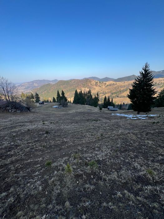 Teren de vânzare Câmpulung Moldovenesc, Izvorul Alb