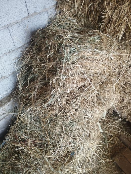 Прес шоп сатылады