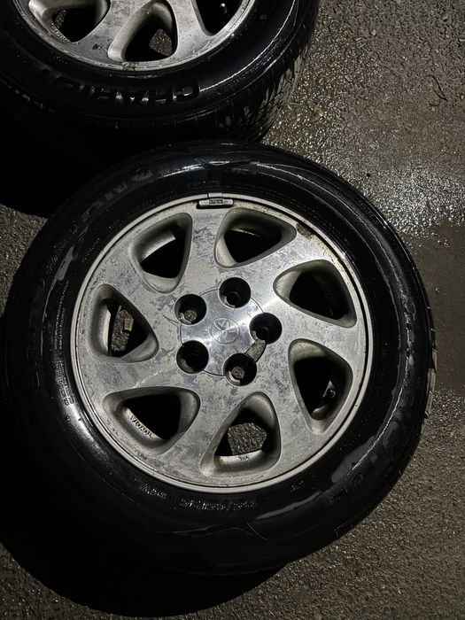 титанка пакришка