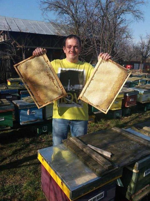 Miere de tei, crudă, zaharisită, 35 lei/kg Livram sâmbăta în Bucuresti