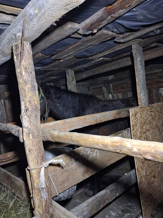 Моншадағы әйелдерді онлайн көріңіз