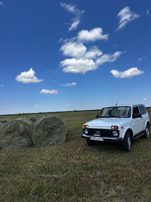 Продам сено, рулоны, тюк, пресс, шоп!