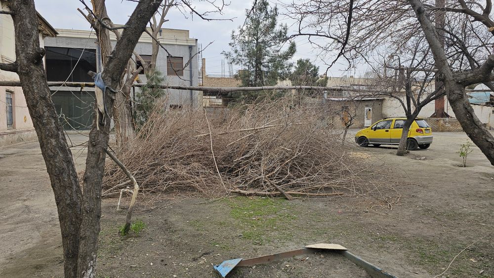 Утин сотилади, хезум, дрова