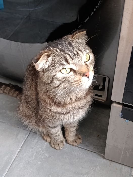 Стерильная девочка в надёжные руки