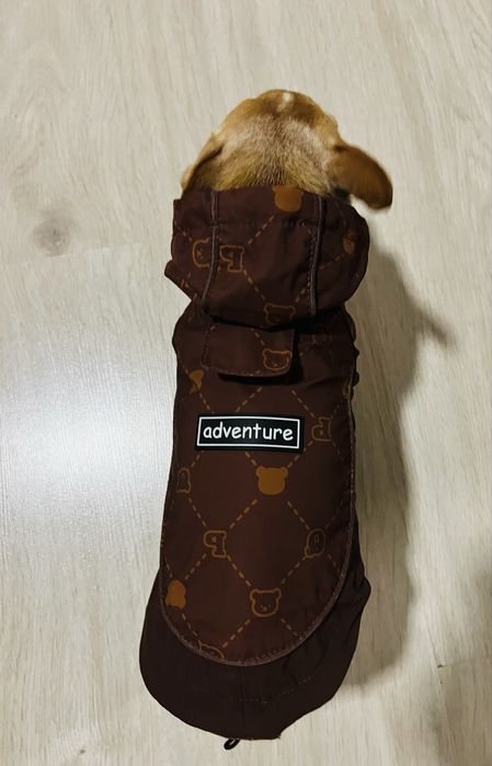 Дъждобран за кучета