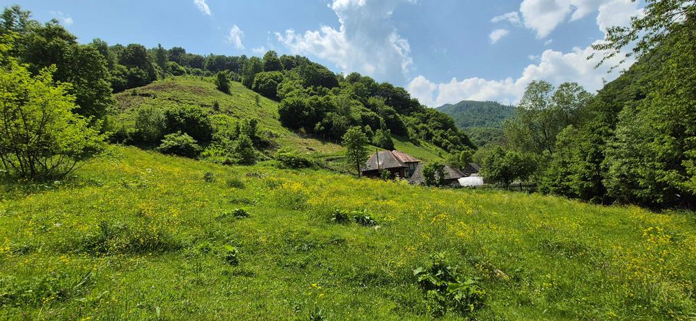 Teren intravilan în munții Apuseni jud Alba/Cluj