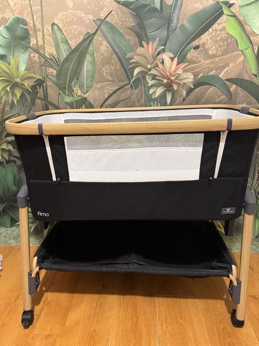 Next to me cangaroo Amo