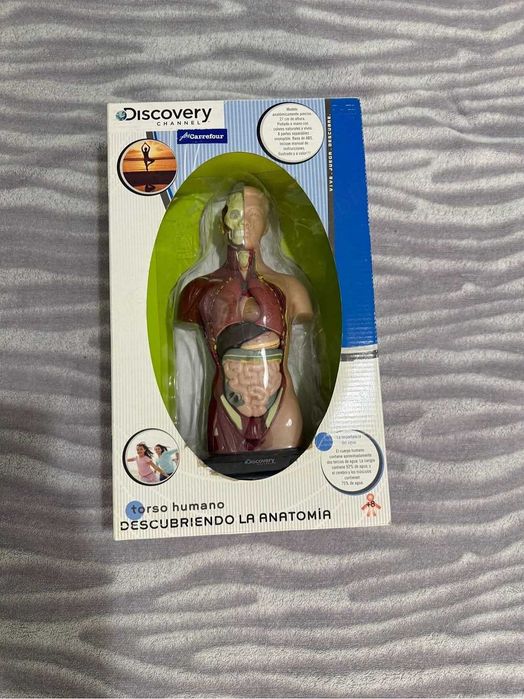 Macheta Corpul Uman Discovery