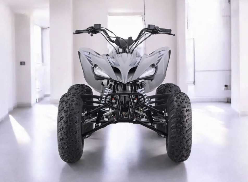 Квадроцикл Sharmax Raizer Race Cup 250