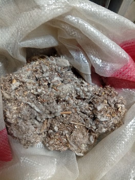 Мол қуй учун витамин ем