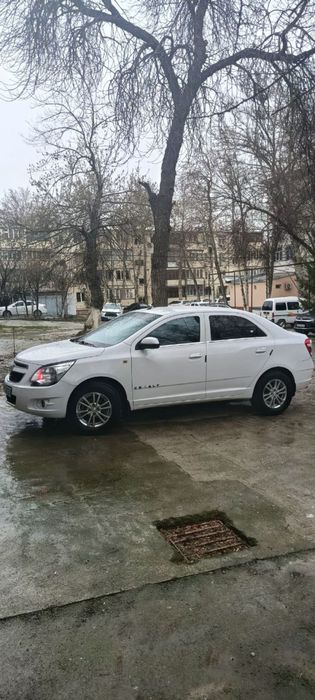 Cobalt 2020 срочно!