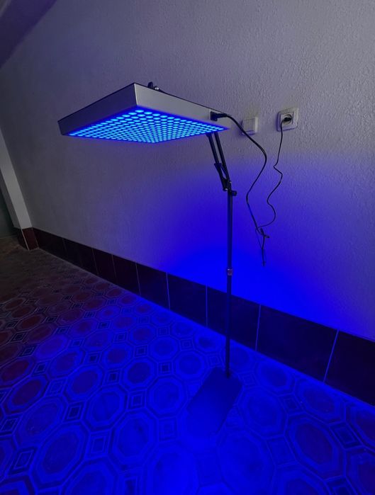 Фотолампа на аренду Алмалык