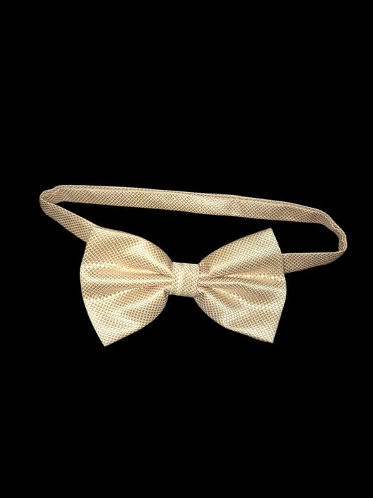 Мъжка Златиста Папионка