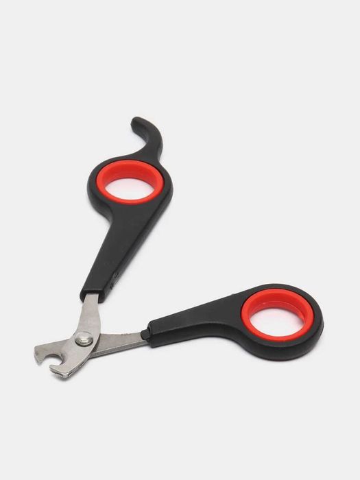 Eng seksual ob-havo maruzachilari