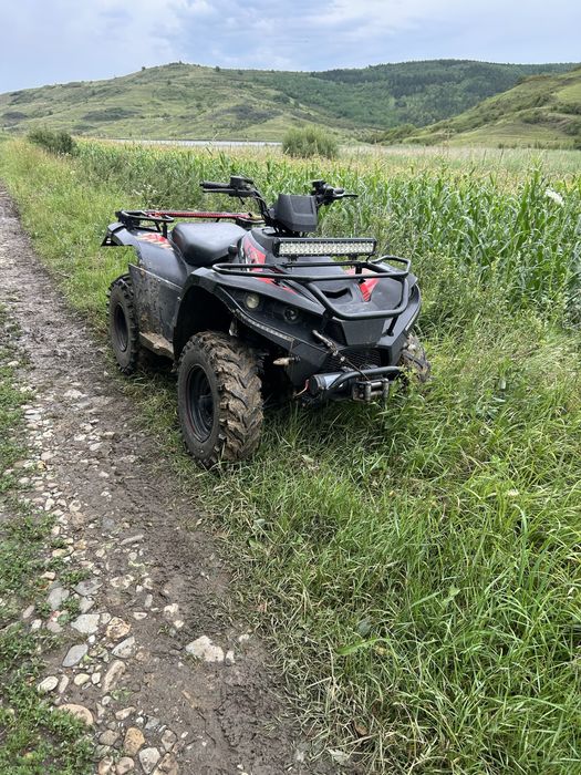 Vand linhai dragonfly 300