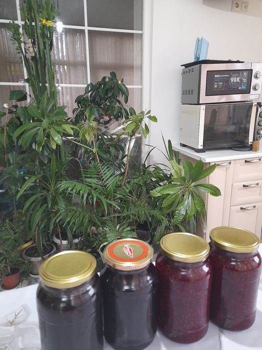 Домашние варения