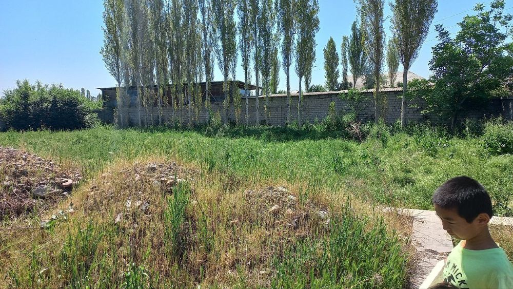 Yangi Toshkent yaqinida yer uchastkasi sotiladi