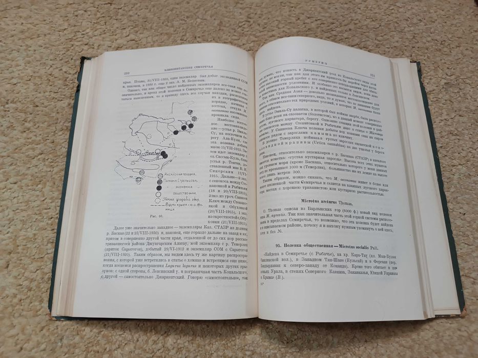 1936 Млекопитающие Семиречья