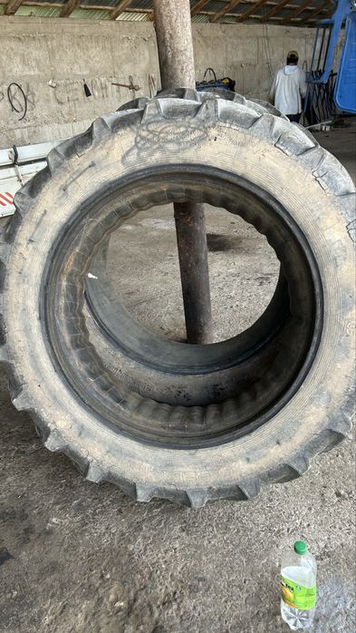 Шины беларус 15,5