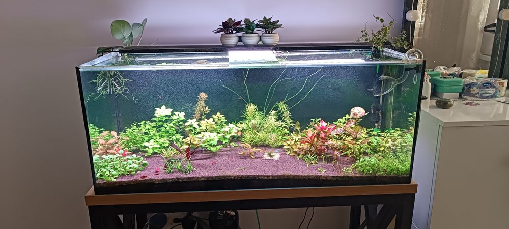 Аквариум травник