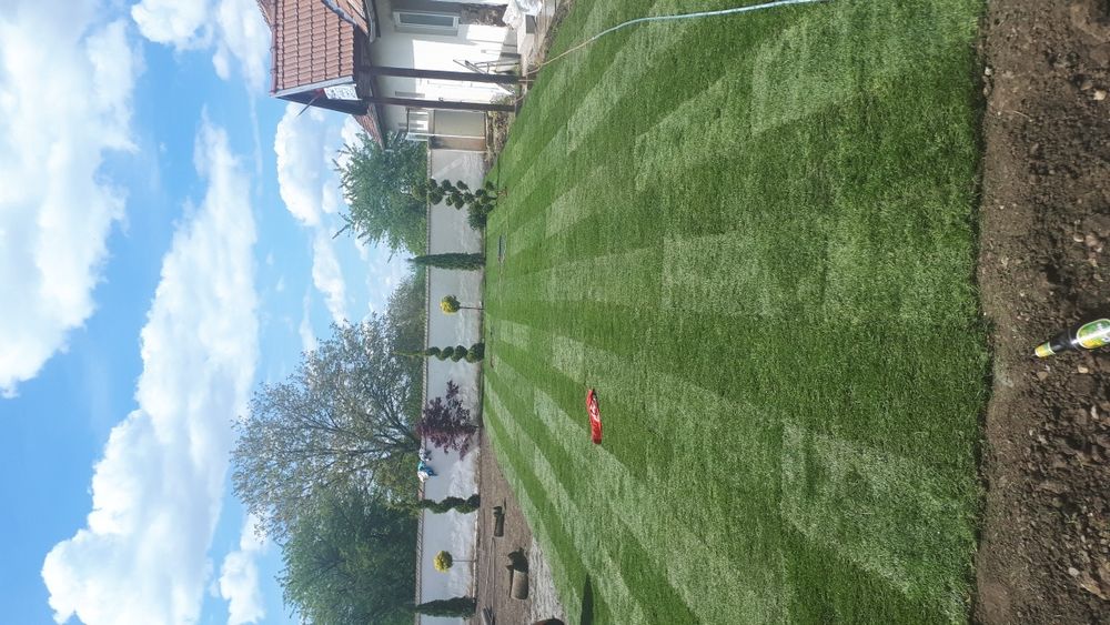 Fericirea la mp gazon rulou