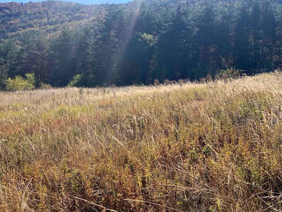 Продава се Парцел в Пловдив, Въстанически - 1324 кв.м за 17 €/кв.м - Снимка #2