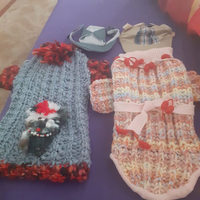 Tricotatez hăinuțe pentru căței