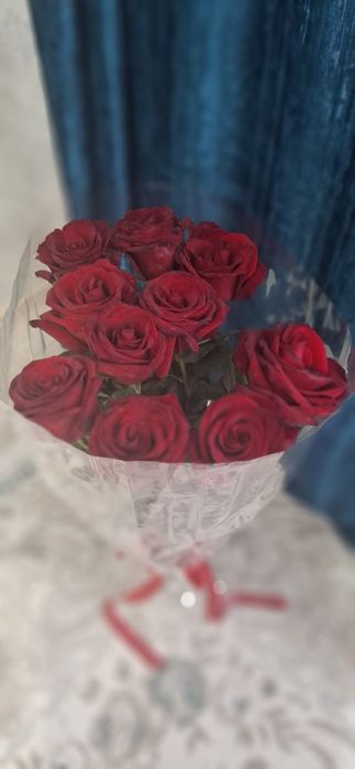 Цветы метровые розы