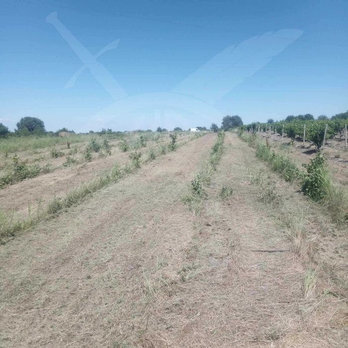 Земеделска земя Марково 67518