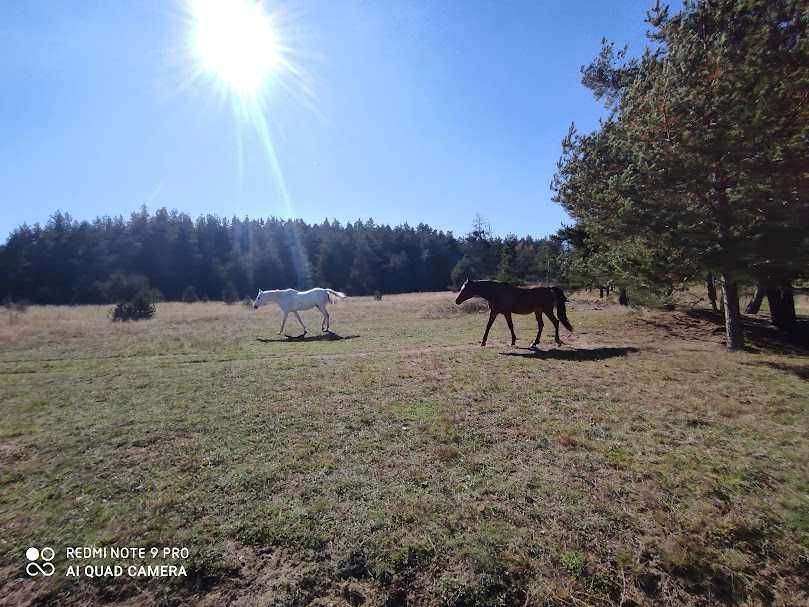 Продава се Къща в София, Манастирски ливади - 200 кв.м за 1300 €/кв.м - Снимка #19