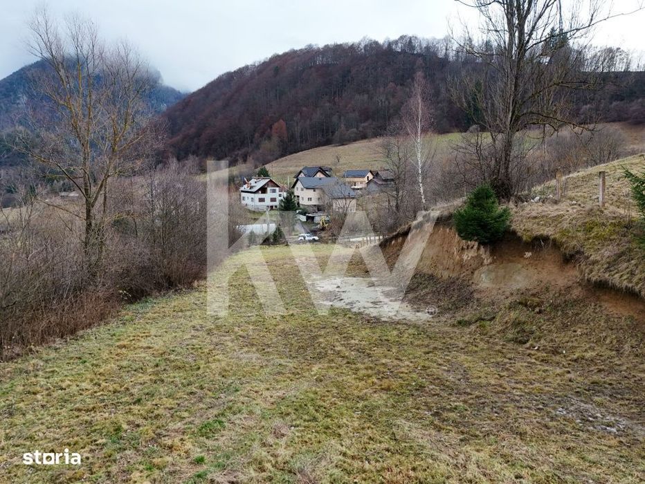 Teren intravilan Dambovicioara, Teren la munte / Repozitionare Pret