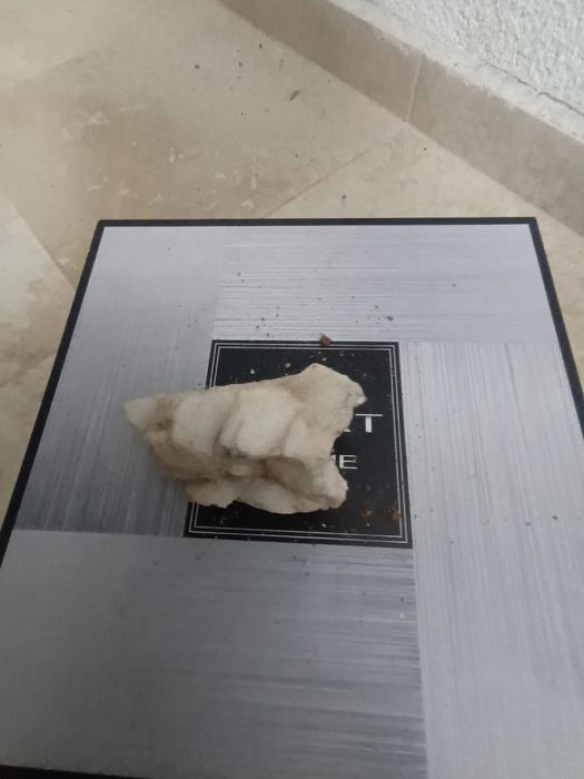 Колекция от камани и минерали