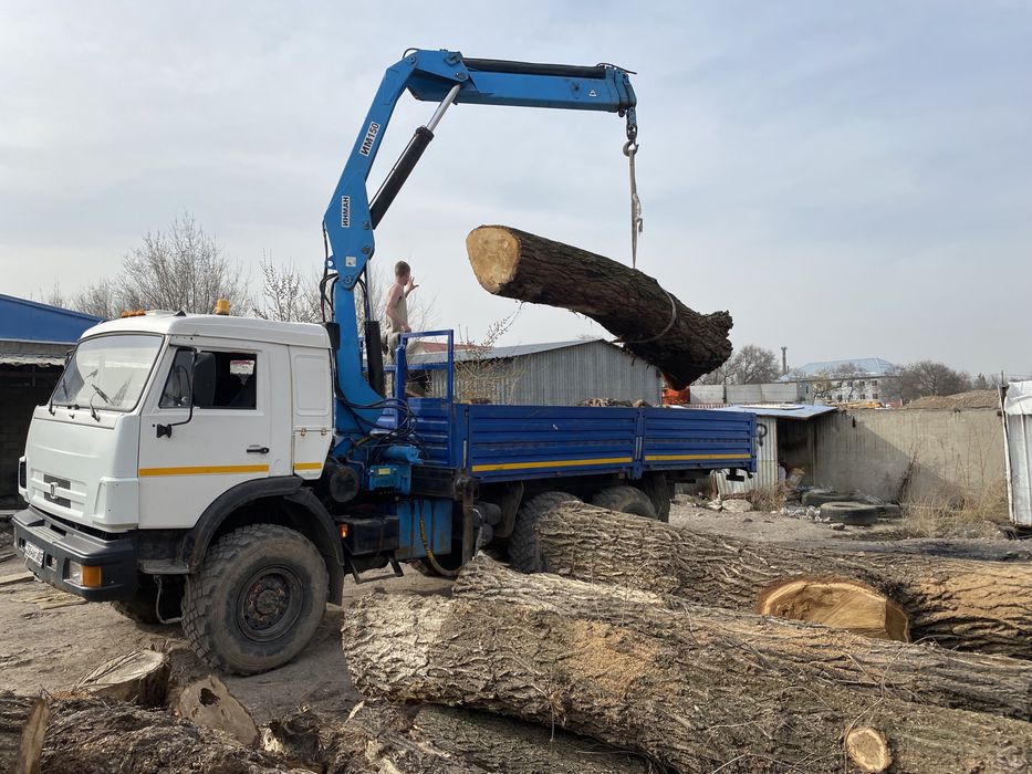 Спил с руб деревьев