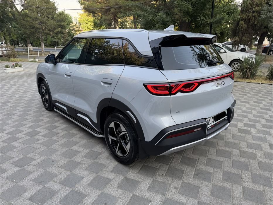 Byd Yuan Up 2025 Yil 401 zap hod