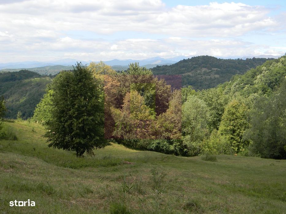 Teren intravilan de vanzare in Telega