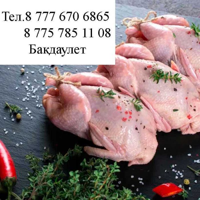 Мясо перепелки, Бөдене жұмыртқасы