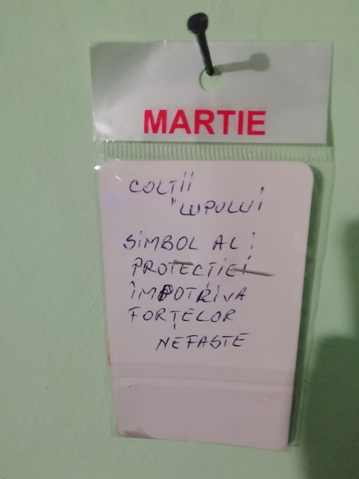 Mărțișoare hanmade de fintesti