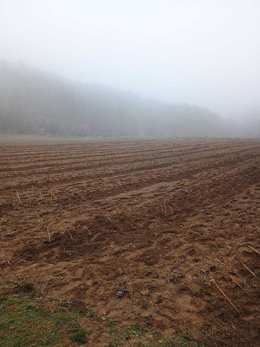 Глен Дий 2 лв бр.