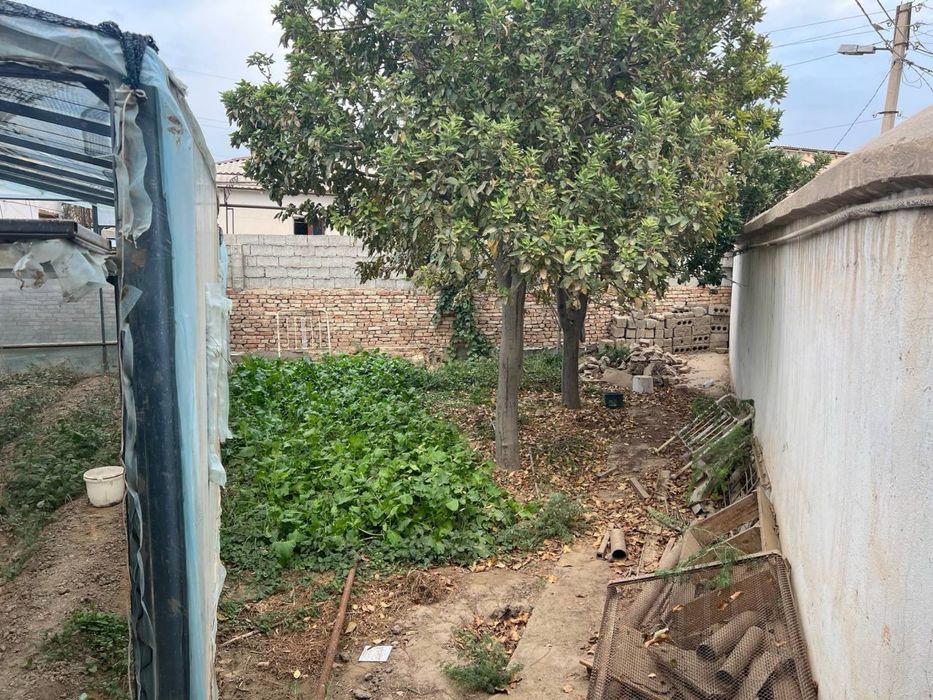 4 so’tiq hovli 1 xona xammom hojathonasi bor parnik