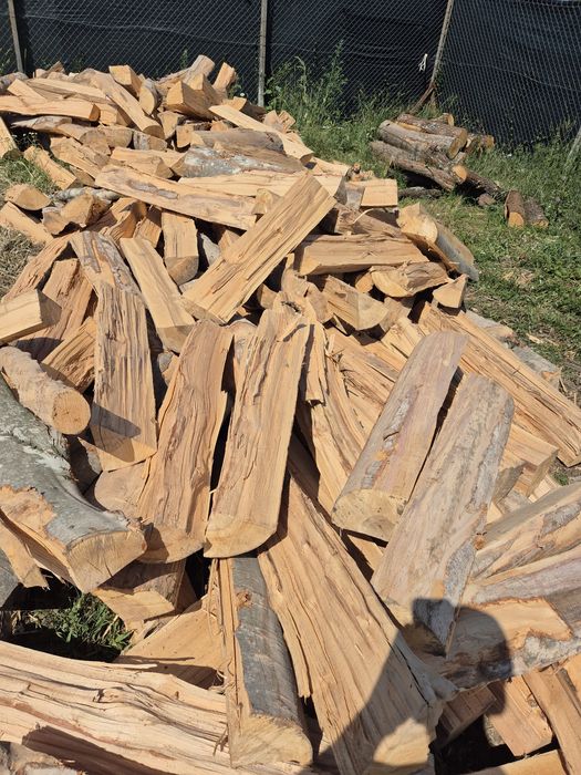 Vind lemne uscate sau verzi