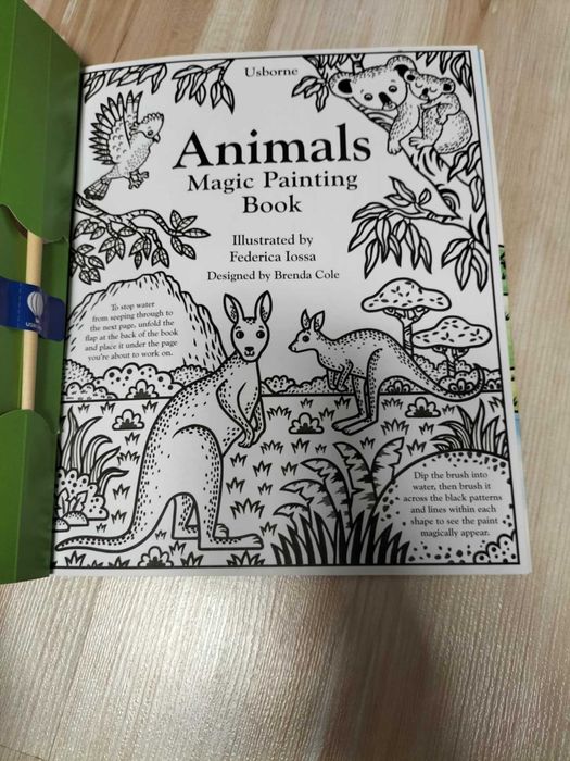 Carte pt copii de pictat cu apa Usborne