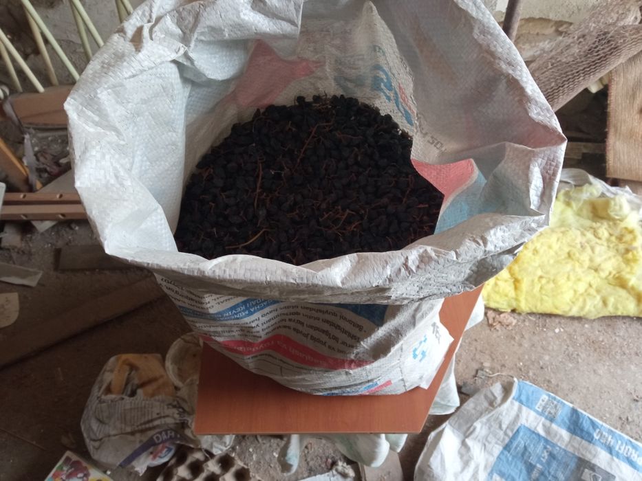 Майиз.  Продается.  Для.  Животных