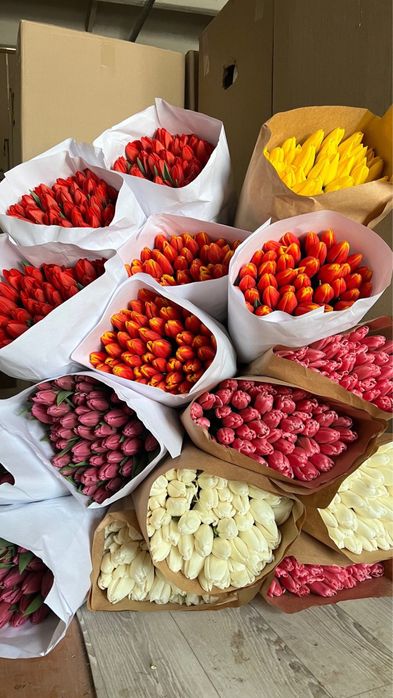 ТЮЛЬПАНЫ от 700 тг