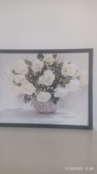 Картина снимки триптих