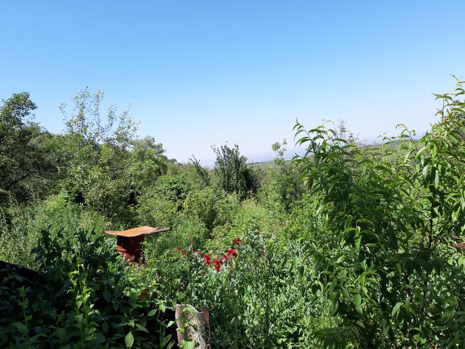 Продам Срочно Дачу в Кенсаи