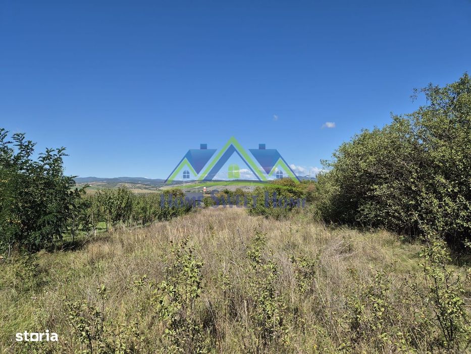 Teren intravilan zona Lătureni, nr. 100, schimb cu gars. + dif./parcel