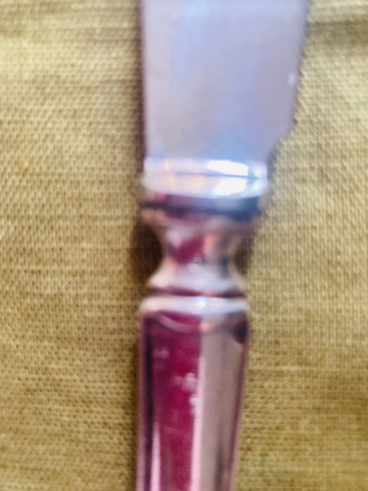 Rostfri - шведски посребрени ножове за основно 22см.