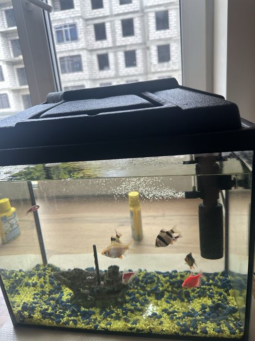 Продается аквариум в отличном состоянии